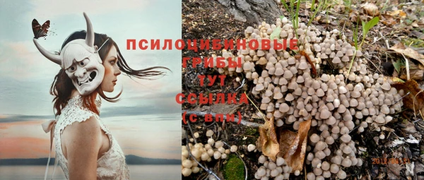 мет Снежинск