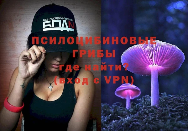 амф Балахна