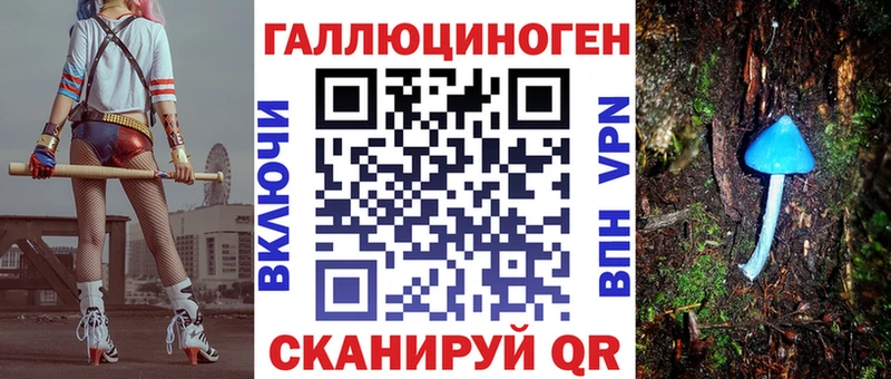 Псилоцибиновые грибы Psilocybine cubensis  Белово 